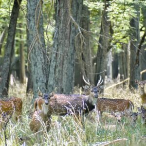 Retreat in Carmen de Areco, Argentina
